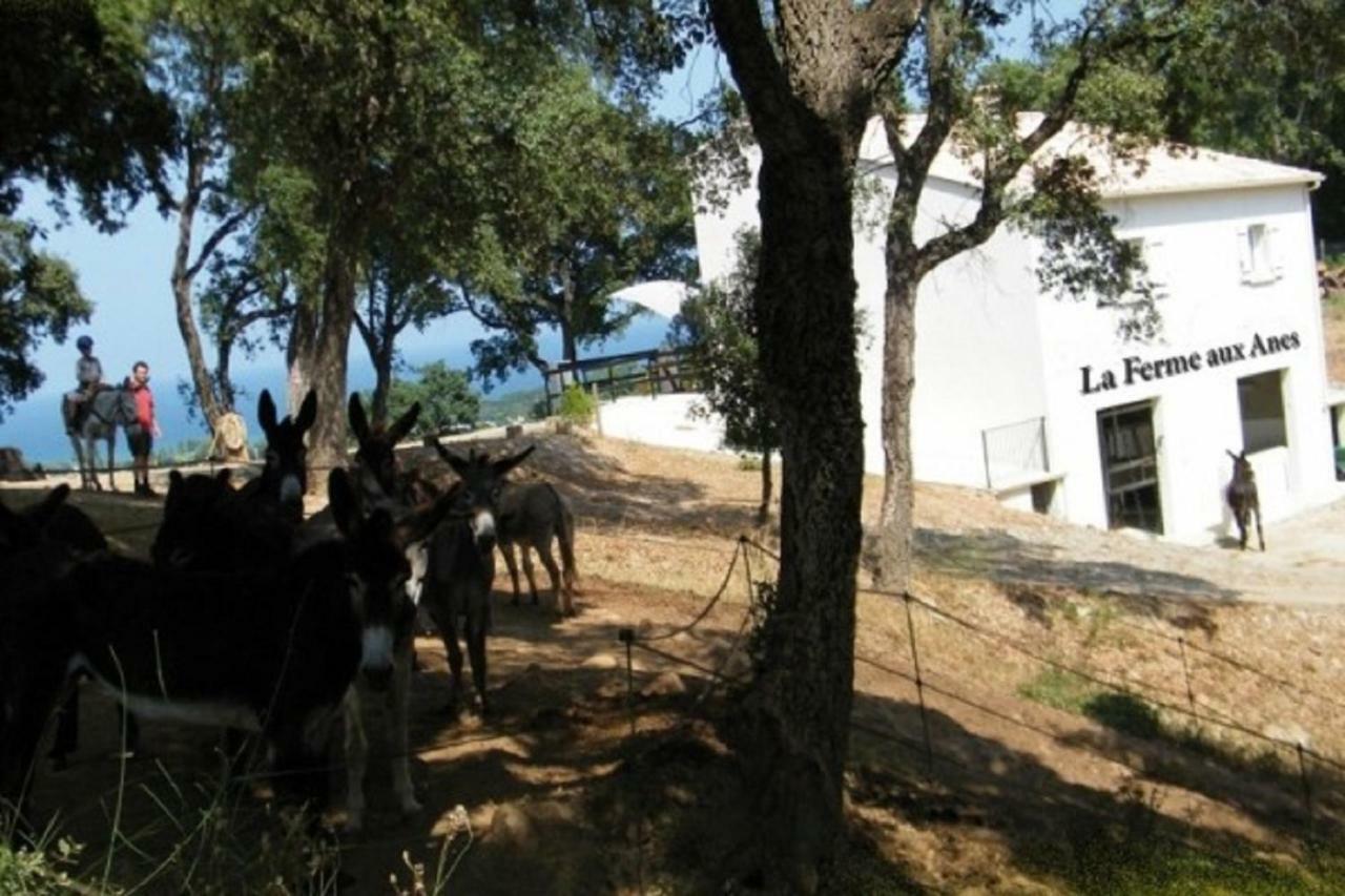 Residence Emilia Santa-Maria-Poggio  Exterior photo